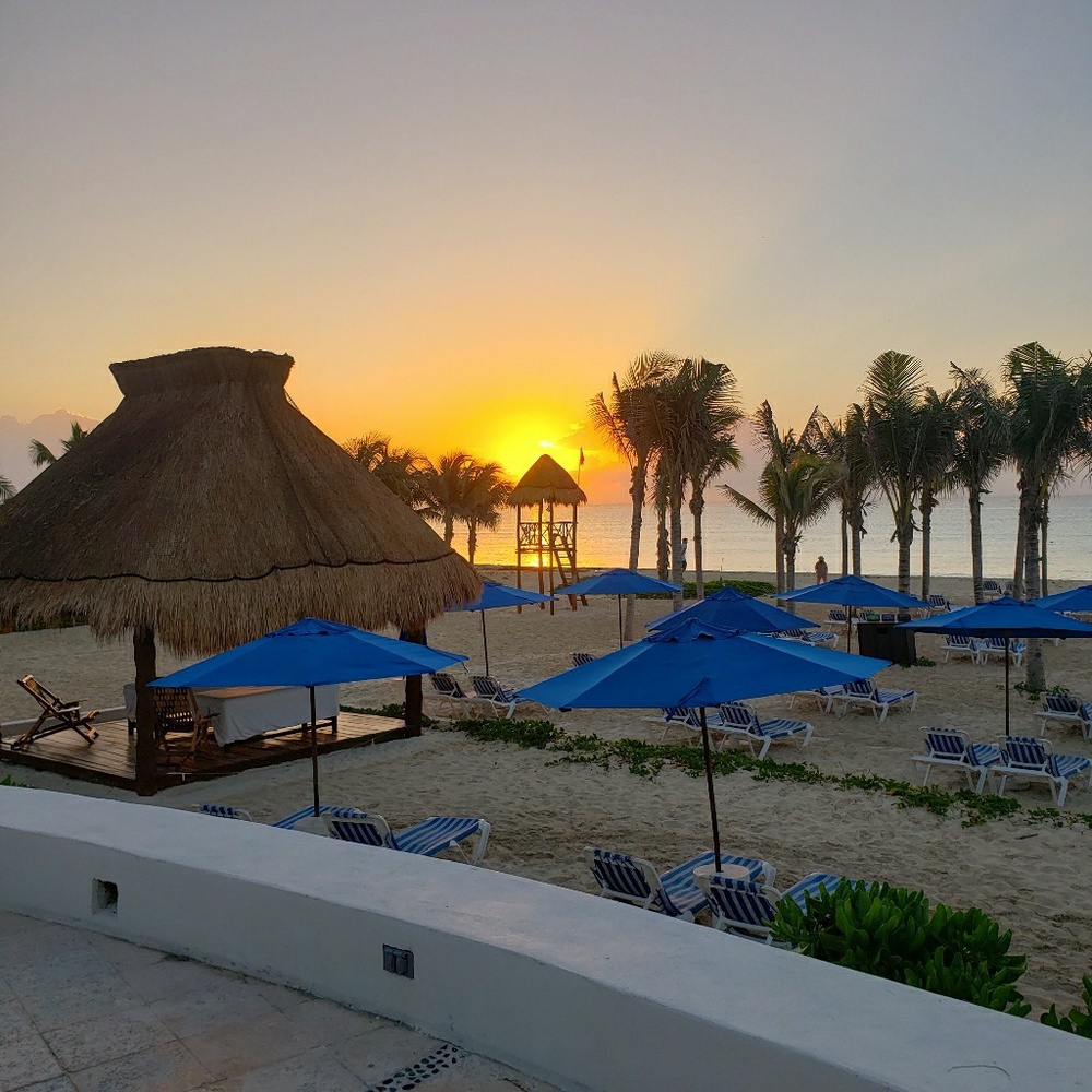 Meet your Posher, Danette